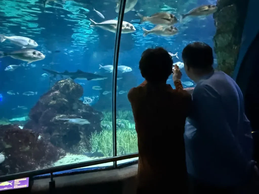 Family looking at aquarium tank in Barcelona
